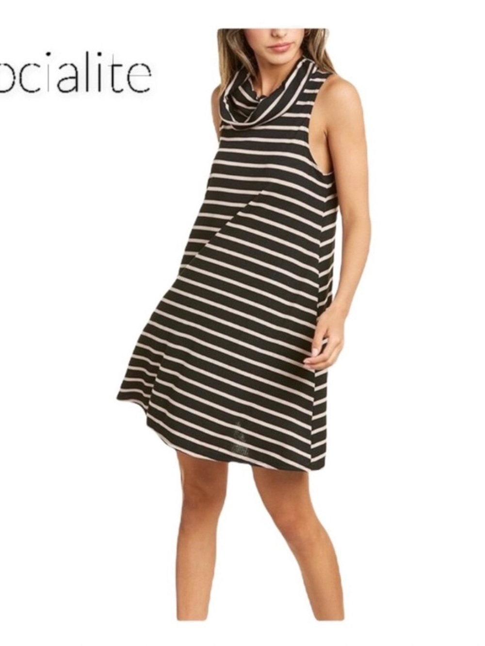 Skirt Subcategory Identification